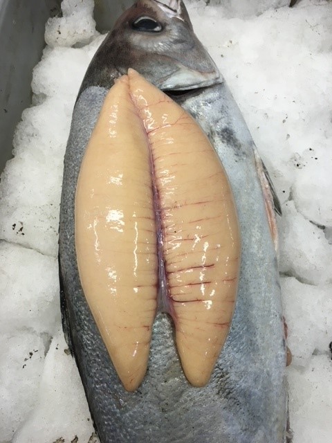 Fresh Fish Roe - Ocean Made Seafood