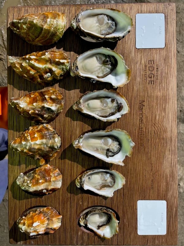 Royal Miyagi Pacific Oysters Ocean Made Seafood