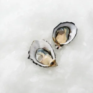 Pacific Oysters - Open [Per Doz]