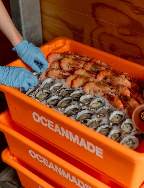 oms-christmas-box (1)